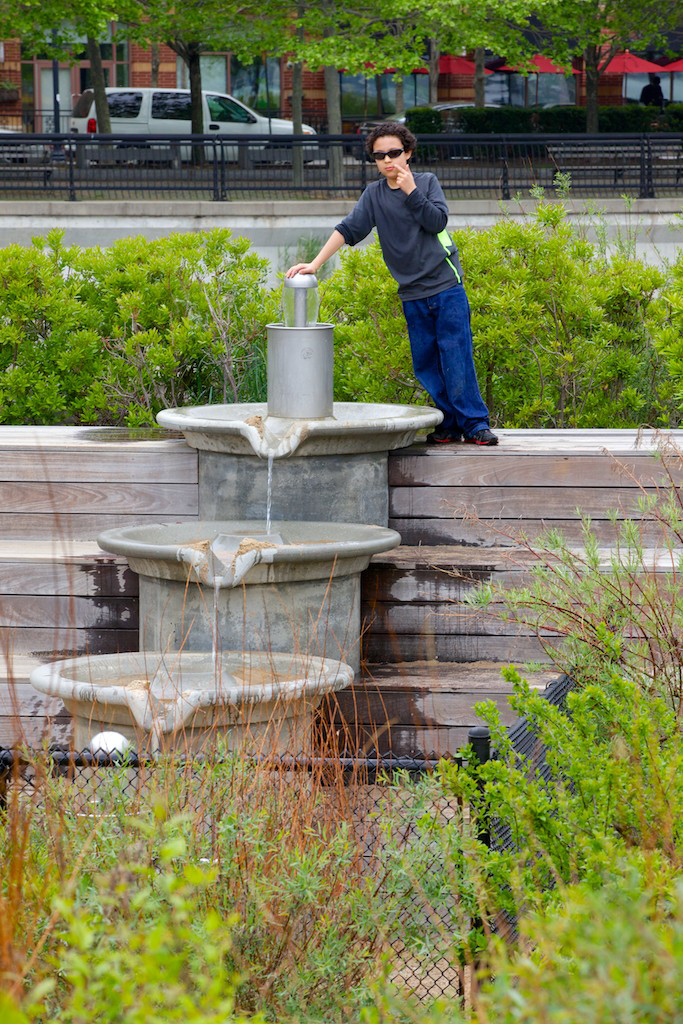 Planting Contractor - Children's Park in Hoboken, NJ